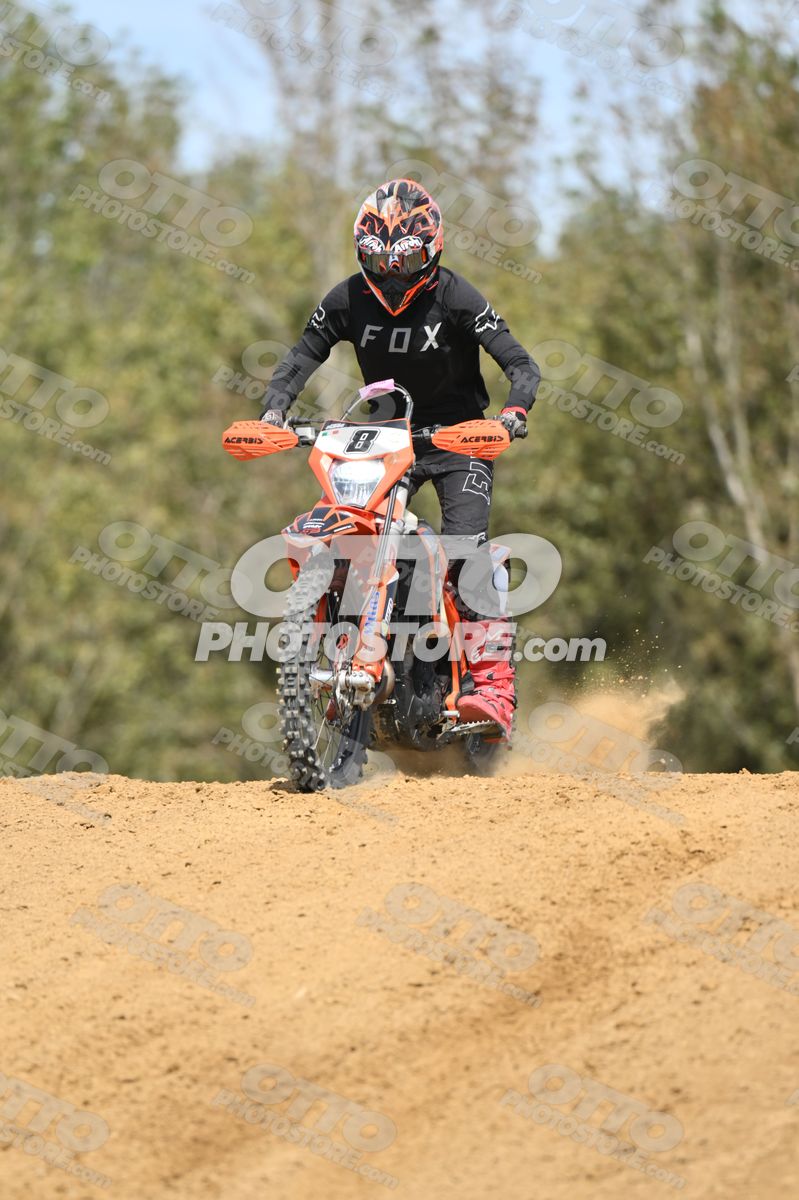 8 · DSH_7970