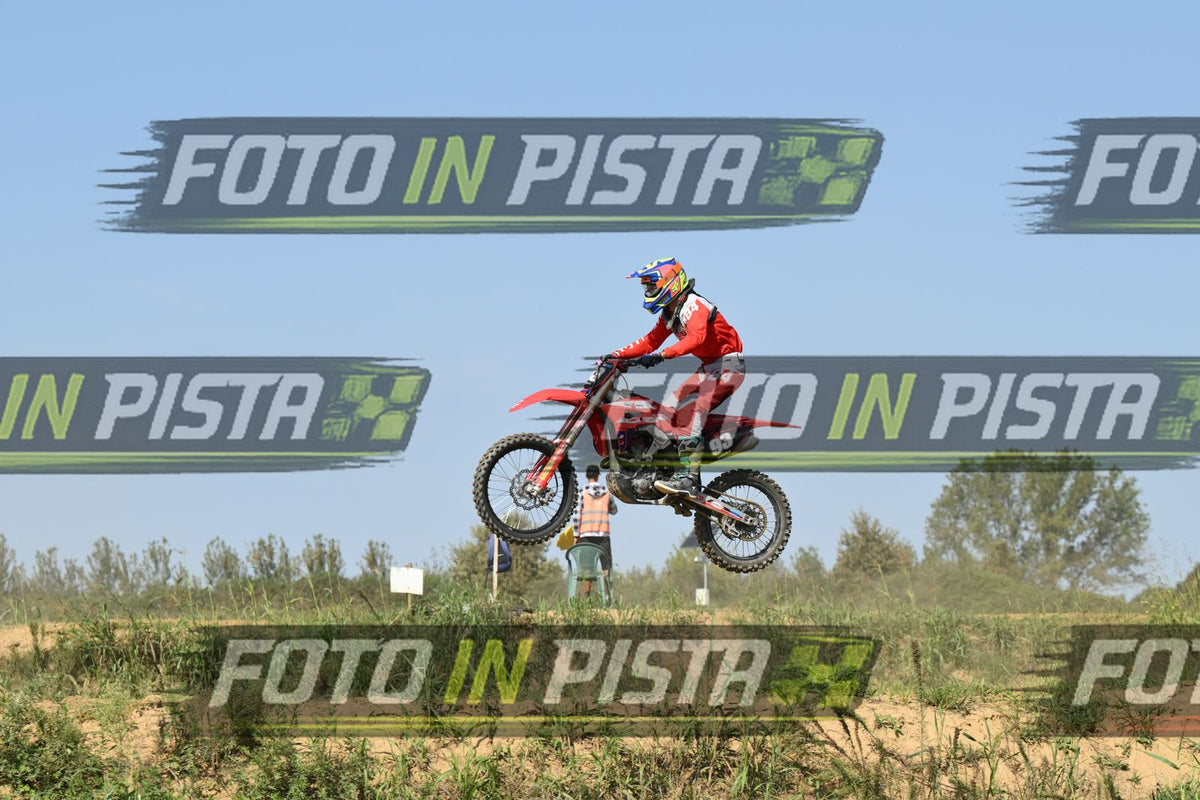 93 · DSH_7977