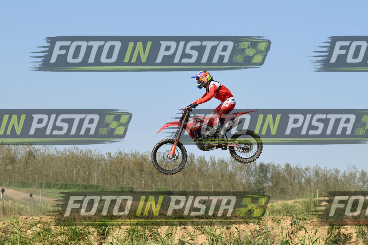 93 · DSH_7983