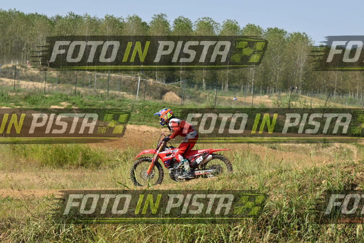 93 · DSH_7991