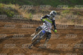 17 · DSH_7999