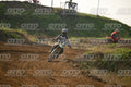 3 · DSH_8006