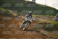 3 · DSH_8008