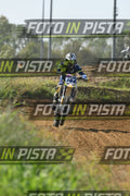 144 · DSH_8009