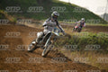 3 · DSH_8009