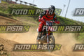 703 · DSH_8032