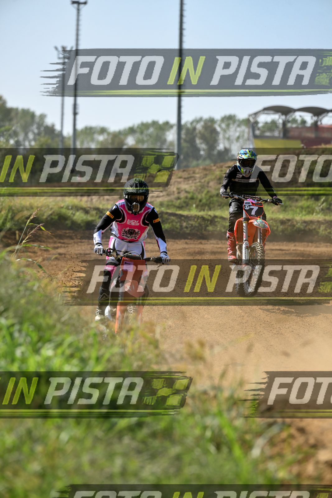KTM - PINK WHITE SHIRT · DSH_8034