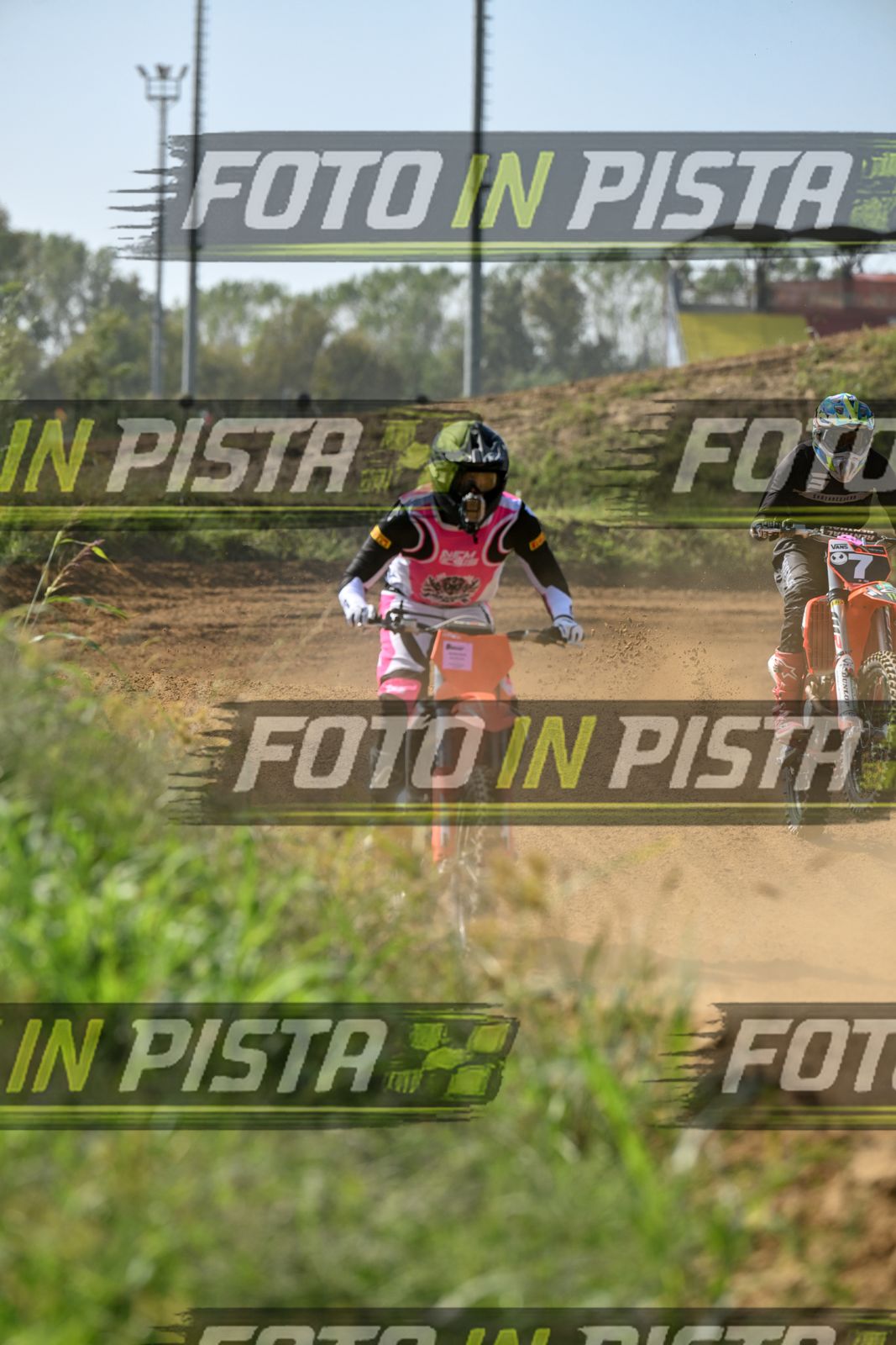 KTM - PINK WHITE SHIRT · DSH_8035