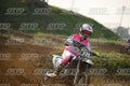 779 · DSH_8035