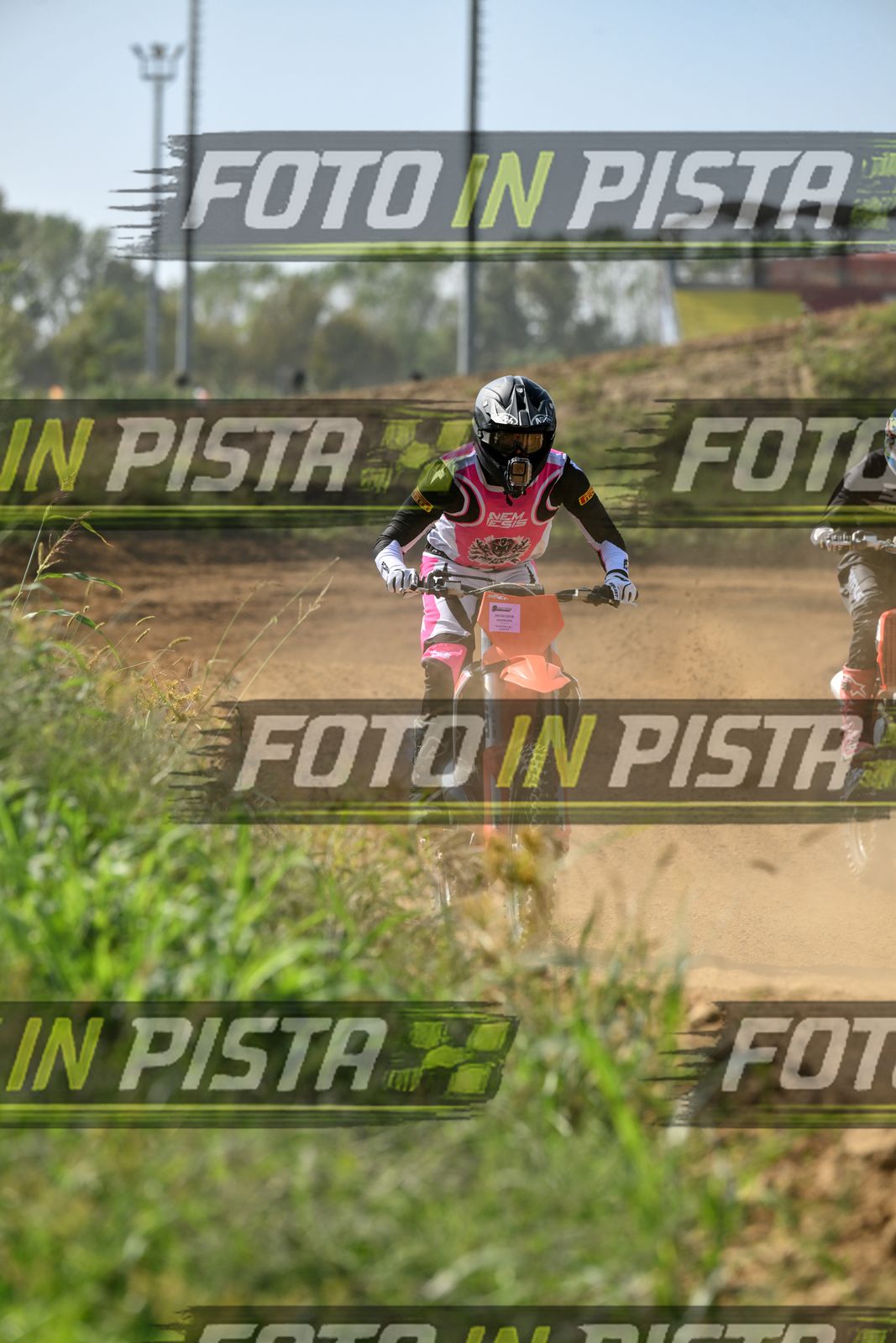 KTM - PINK WHITE SHIRT · DSH_8036