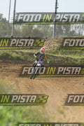 333 · DSH_8052