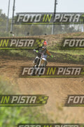 333 · DSH_8055
