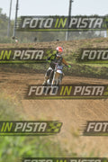 333 · DSH_8056