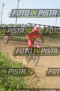 239 · DSH_8088
