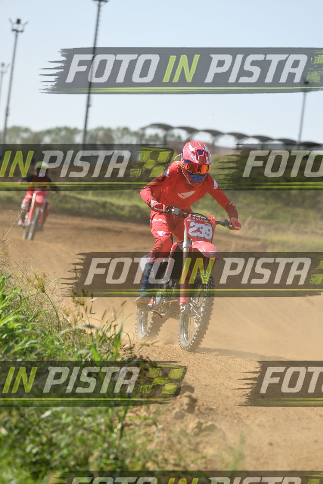 239 · DSH_8088