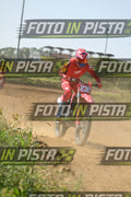 239 · DSH_8089