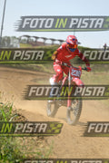 239 · DSH_8090