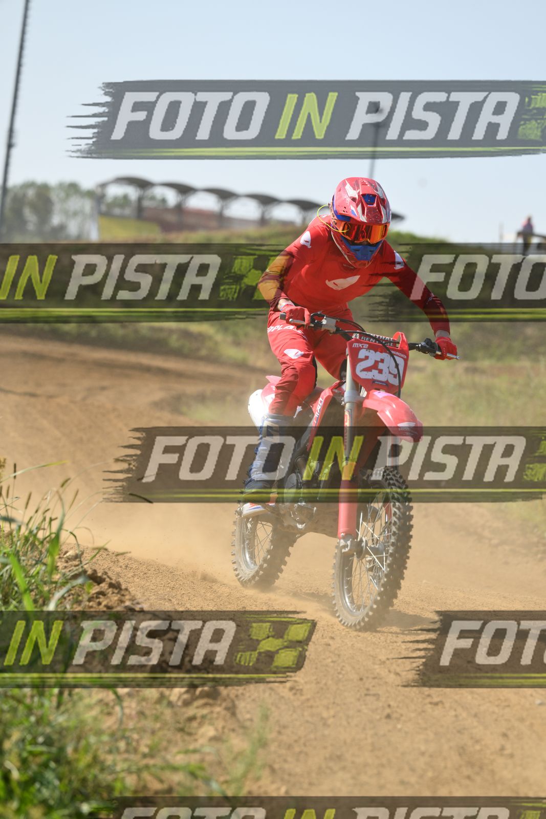 239 · DSH_8090