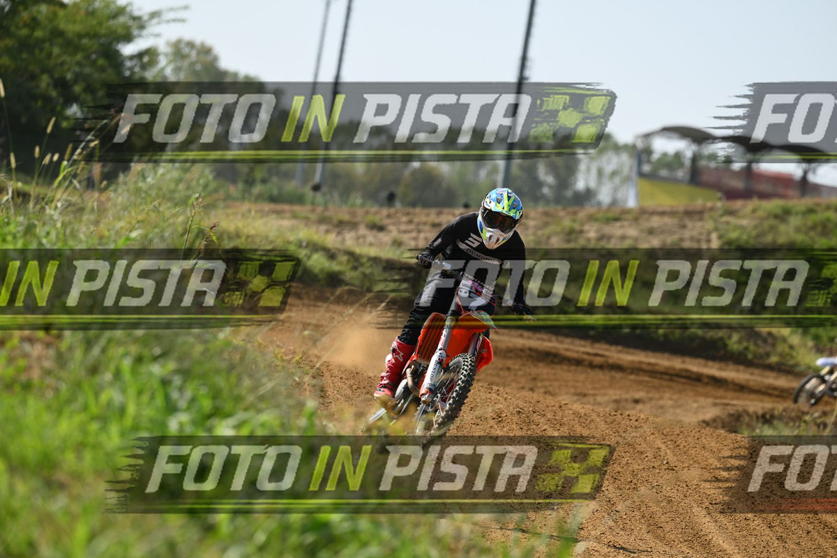 7 · DSH_8209