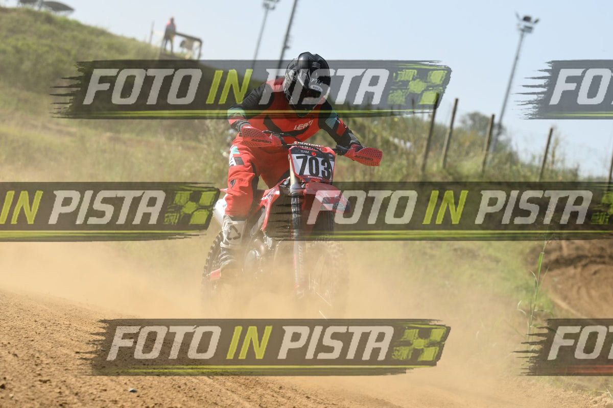 703 · DSH_8223