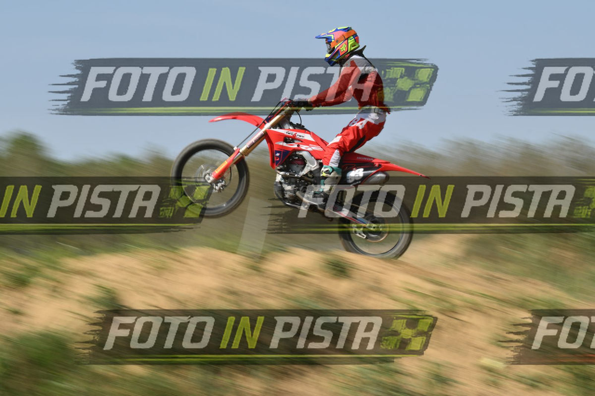 93 · DSH_8254
