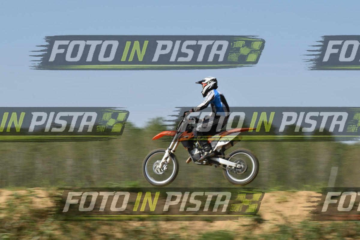 943 · DSH_8290