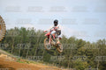 155 · DSH_8292