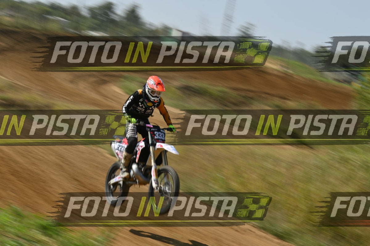 333 · DSH_8302