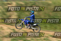 TOTAL BLUE · DSH_8360