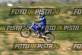 TOTAL BLUE · DSH_8361