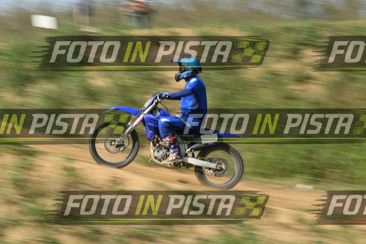 TOTAL BLUE · DSH_8361