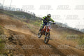 31 · DSH_8361