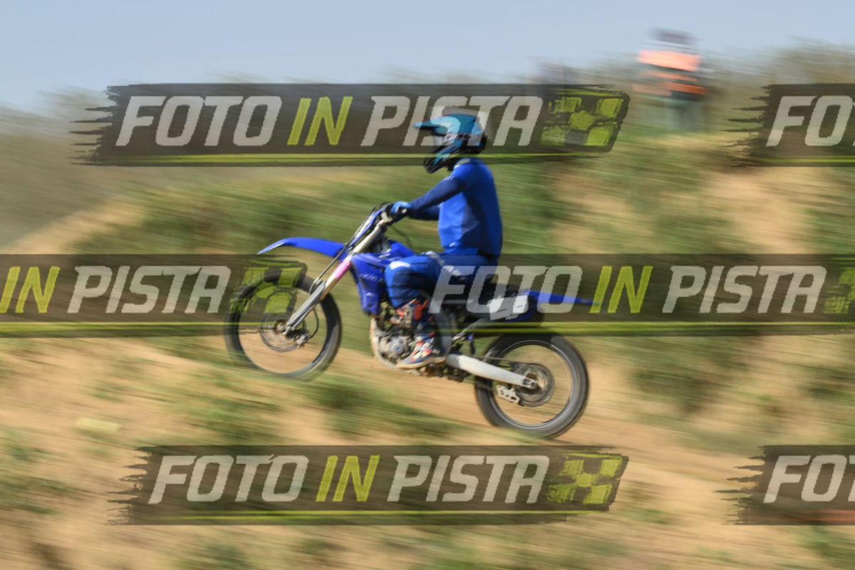 TOTAL BLUE · DSH_8362