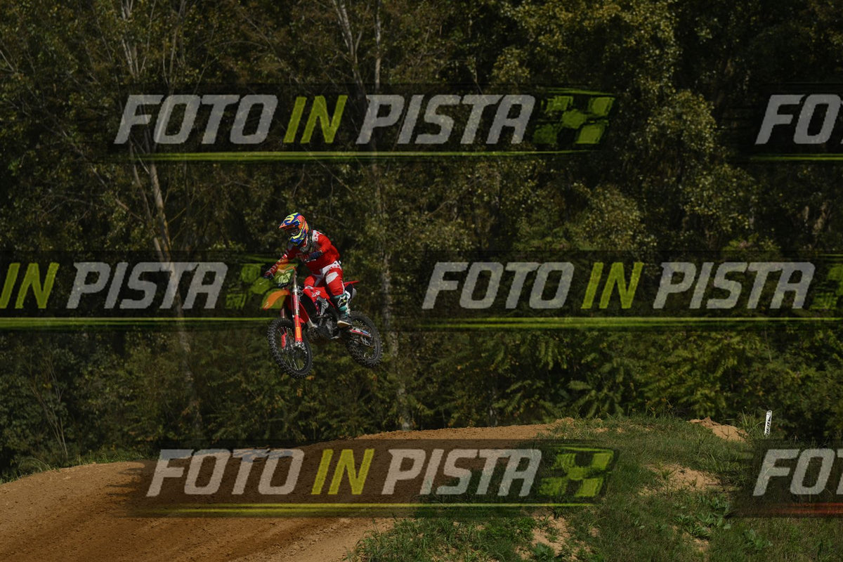 93 · DSH_8424