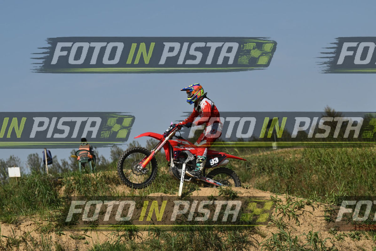 93 · DSH_8428