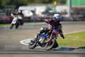 PITBIKE - SCOOTER 0 LSP pink black blue · DSH_8467