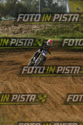 333 · DSH_8480