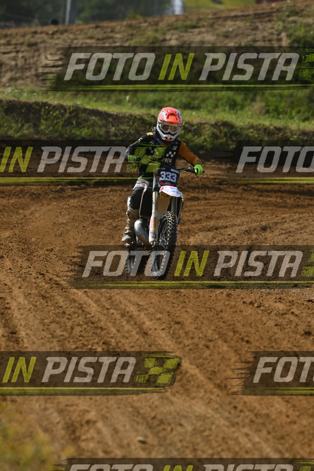 333 · DSH_8487