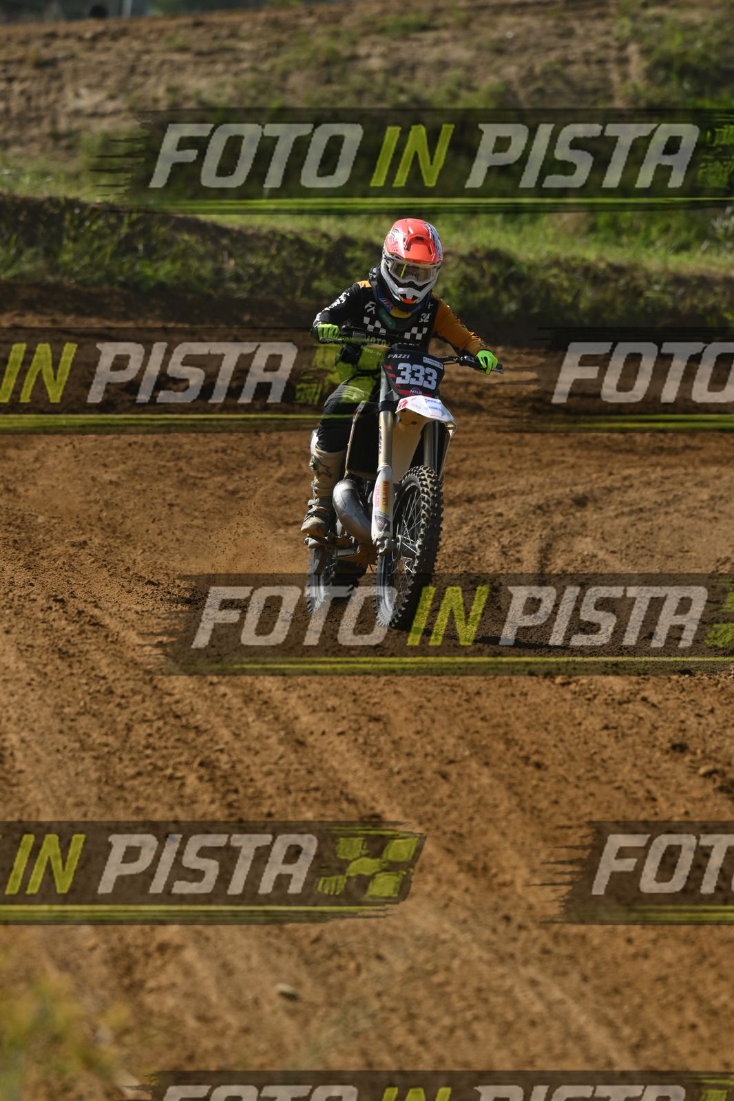 333 · DSH_8488