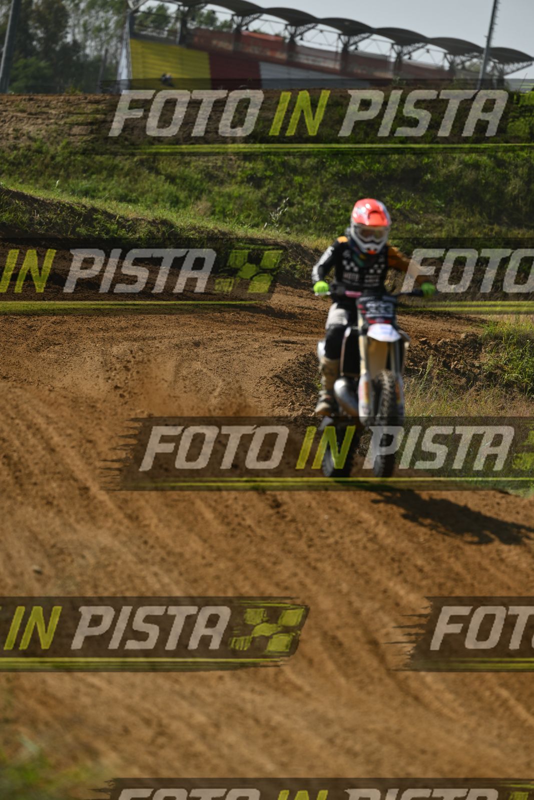 333 · DSH_8490