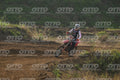 161 · DSH_8509