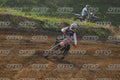161 · DSH_8511