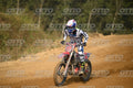 77 · DSH_8541