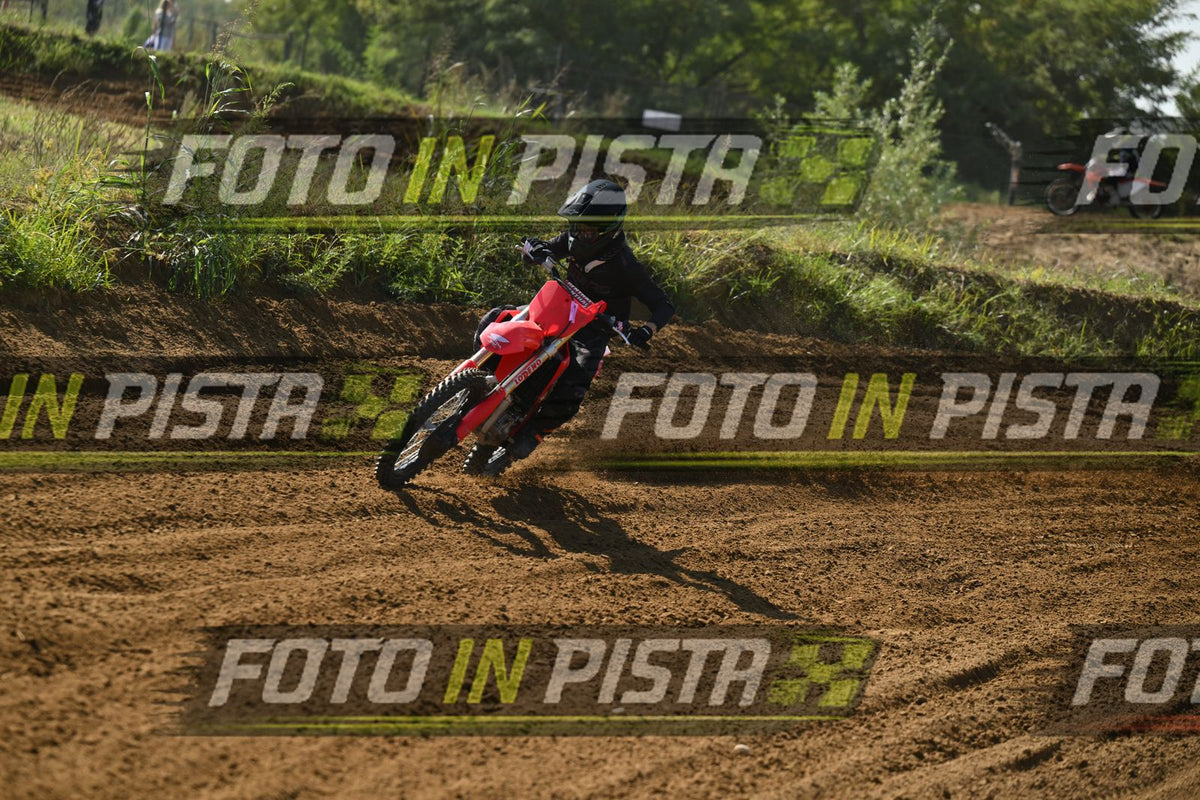 RED HONDA - ALL BLACK · DSH_8569