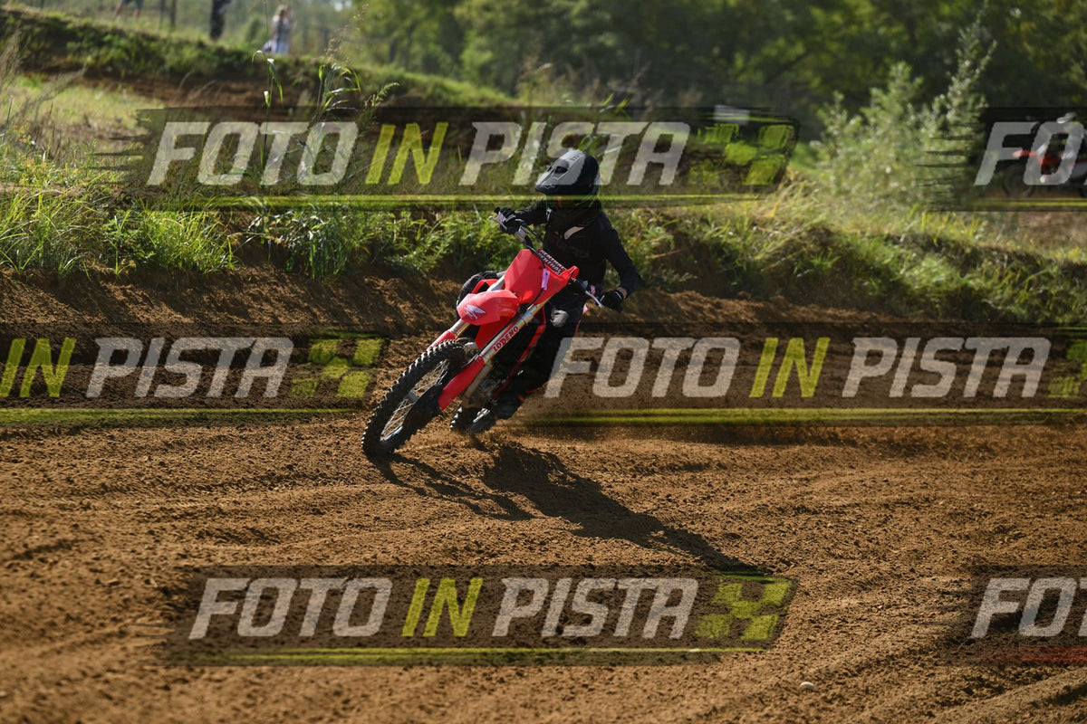 RED HONDA - ALL BLACK · DSH_8570
