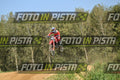 93 · DSH_8597