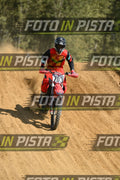 703 · DSH_8628
