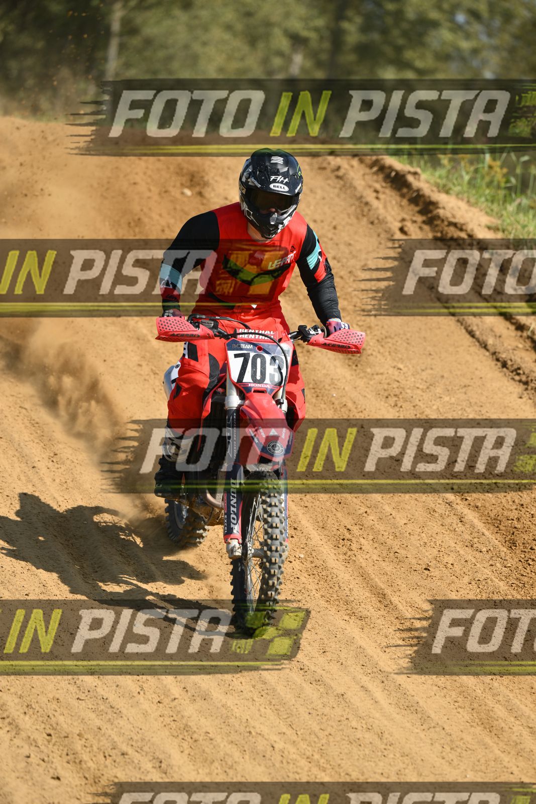 703 · DSH_8630