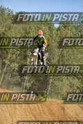 333 · DSH_8637
