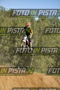 333 · DSH_8638